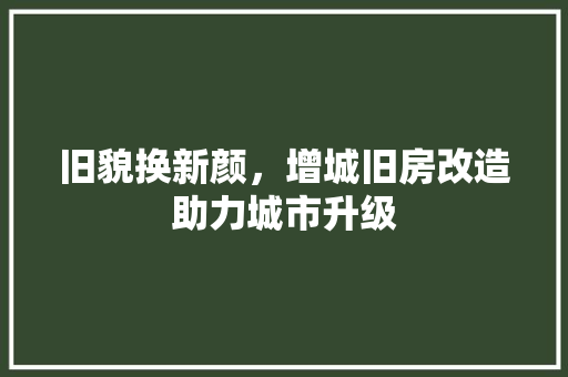 旧貌换新颜，增城旧房改造助力城市升级