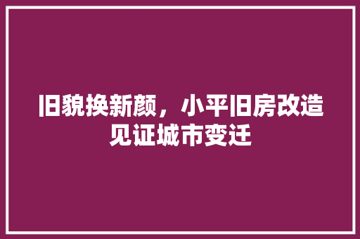 旧貌换新颜，小平旧房改造见证城市变迁 墙体维修