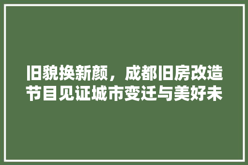 旧貌换新颜，成都旧房改造节目见证城市变迁与美好未来