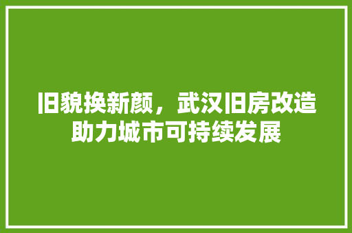 旧貌换新颜，武汉旧房改造助力城市可持续发展