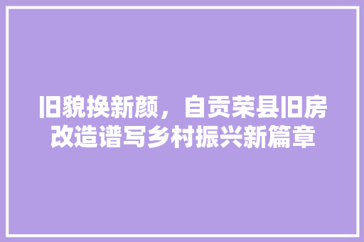 旧貌换新颜，自贡荣县旧房改造谱写乡村振兴新篇章 户内维修