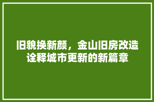 旧貌换新颜，金山旧房改造诠释城市更新的新篇章 墙体维修
