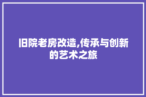 旧院老房改造,传承与创新的艺术之旅 居家维修