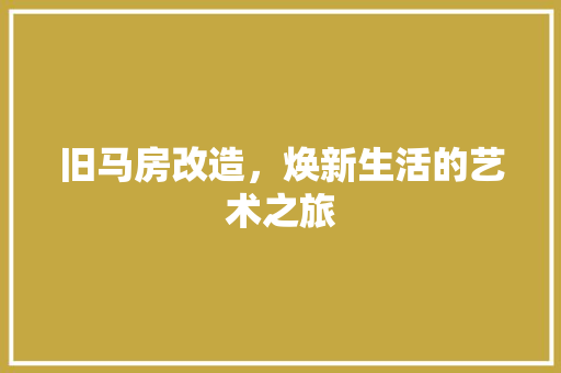 旧马房改造，焕新生活的艺术之旅 厨房维修