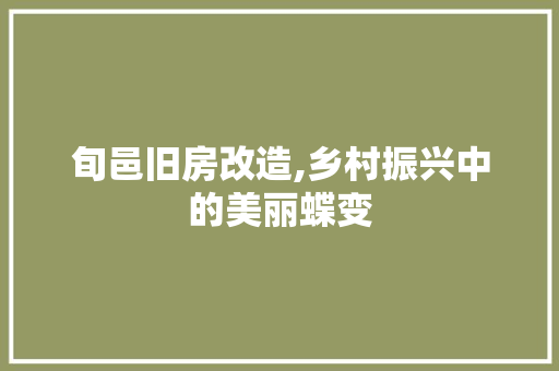 旬邑旧房改造,乡村振兴中的美丽蝶变