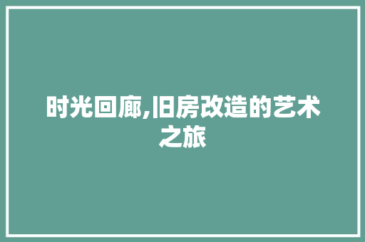 时光回廊,旧房改造的艺术之旅