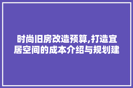 时尚旧房改造预算,打造宜居空间的成本介绍与规划建议