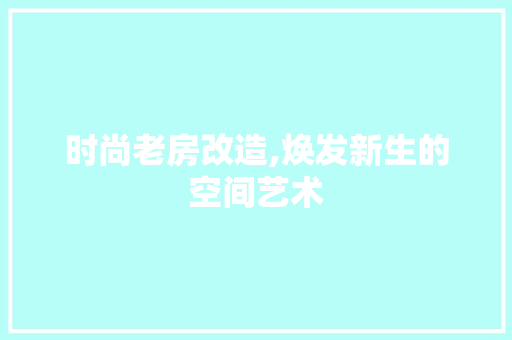 时尚老房改造,焕发新生的空间艺术