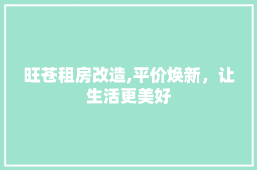 旺苍租房改造,平价焕新，让生活更美好