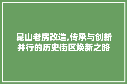 昆山老房改造,传承与创新并行的历史街区焕新之路 户内维修