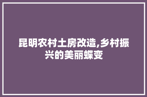 昆明农村土房改造,乡村振兴的美丽蝶变 居家维修
