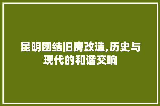 昆明团结旧房改造,历史与现代的和谐交响