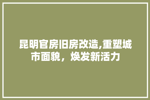 昆明官房旧房改造,重塑城市面貌，焕发新活力 户内维修