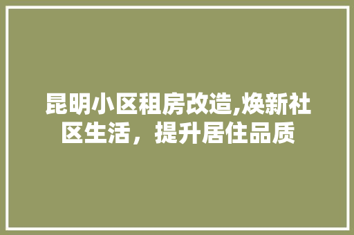 昆明小区租房改造,焕新社区生活，提升居住品质 家电维修