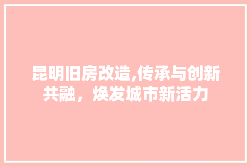 昆明旧房改造,传承与创新共融，焕发城市新活力