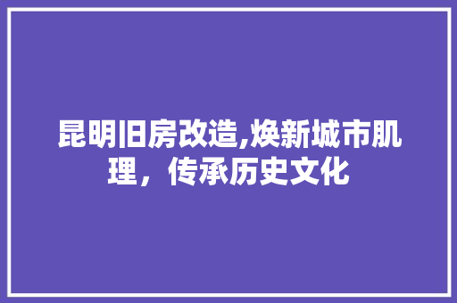 昆明旧房改造,焕新城市肌理，传承历史文化