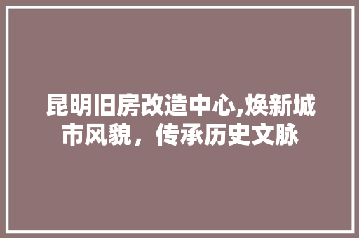 昆明旧房改造中心,焕新城市风貌，传承历史文脉