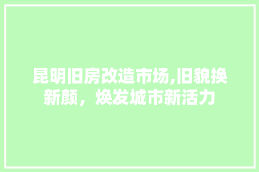 昆明旧房改造市场,旧貌换新颜，焕发城市新活力