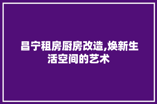 昌宁租房厨房改造,焕新生活空间的艺术