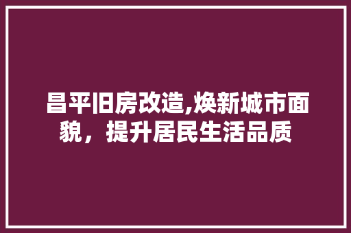 昌平旧房改造,焕新城市面貌，提升居民生活品质 墙体维修