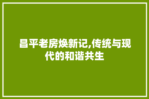 昌平老房焕新记,传统与现代的和谐共生