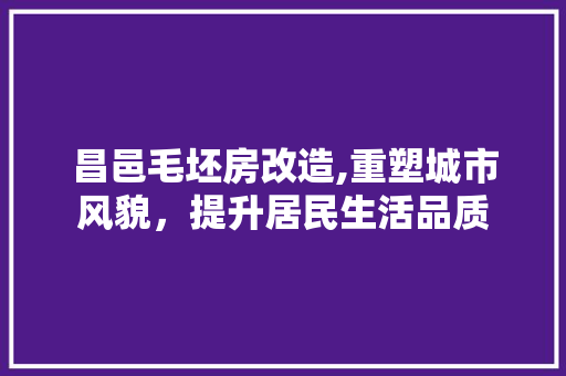 昌邑毛坯房改造,重塑城市风貌，提升居民生活品质