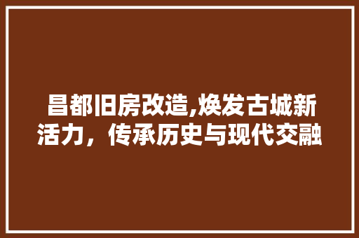 昌都旧房改造,焕发古城新活力，传承历史与现代交融之美