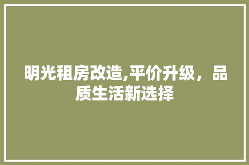明光租房改造,平价升级，品质生活新选择 墙体维修