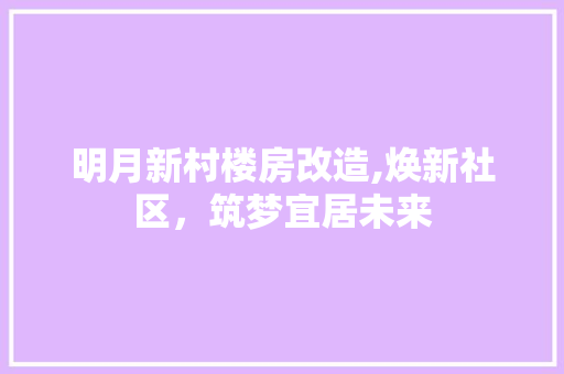 明月新村楼房改造,焕新社区，筑梦宜居未来