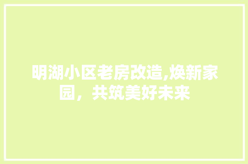 明湖小区老房改造,焕新家园，共筑美好未来