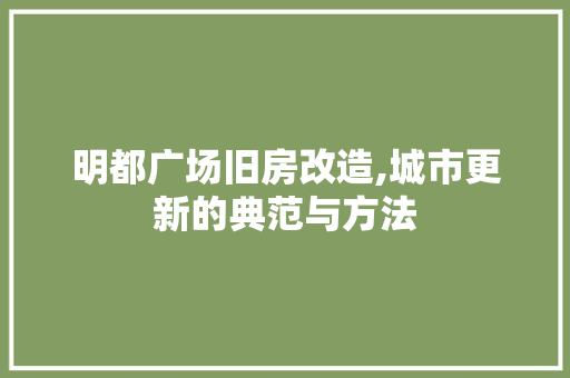 明都广场旧房改造,城市更新的典范与方法