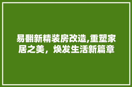 易翻新精装房改造,重塑家居之美，焕发生活新篇章