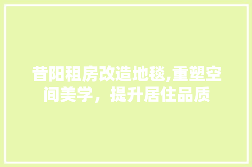 昔阳租房改造地毯,重塑空间美学，提升居住品质 家电维修