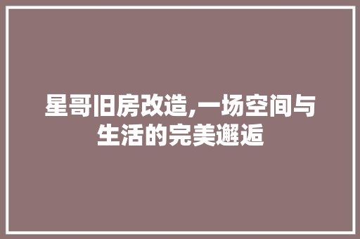 星哥旧房改造,一场空间与生活的完美邂逅