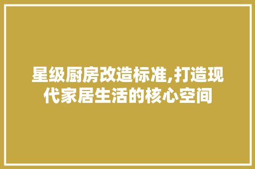 星级厨房改造标准,打造现代家居生活的核心空间