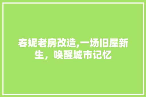 春妮老房改造,一场旧屋新生，唤醒城市记忆