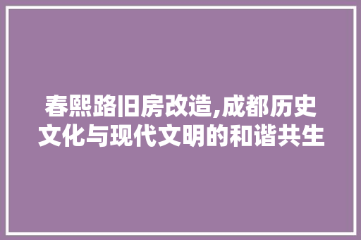 春熙路旧房改造,成都历史文化与现代文明的和谐共生