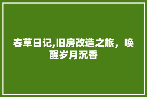 春草日记,旧房改造之旅，唤醒岁月沉香