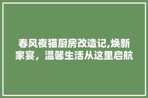 春风夜猫厨房改造记,焕新家宴，温馨生活从这里启航