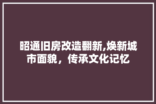 昭通旧房改造翻新,焕新城市面貌，传承文化记忆 家电维修