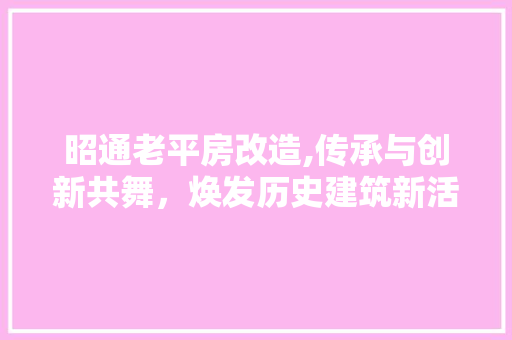 昭通老平房改造,传承与创新共舞，焕发历史建筑新活力 家电维修