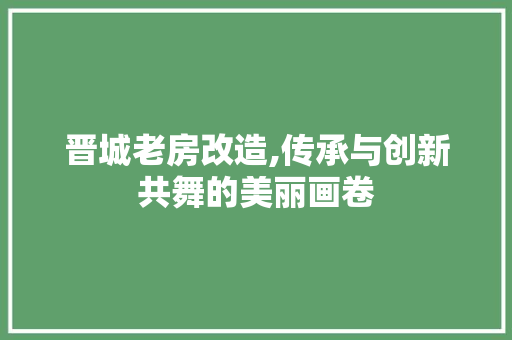 晋城老房改造,传承与创新共舞的美丽画卷