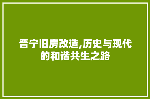 晋宁旧房改造,历史与现代的和谐共生之路 墙体维修