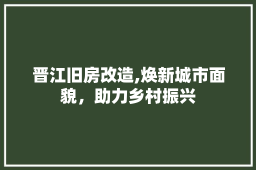 晋江旧房改造,焕新城市面貌，助力乡村振兴