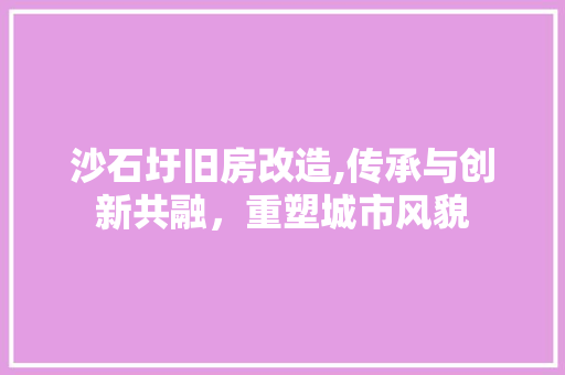 沙石圩旧房改造,传承与创新共融，重塑城市风貌