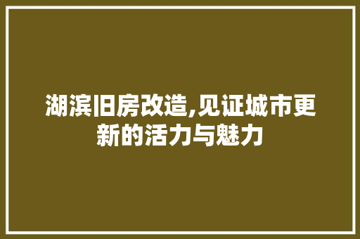 湖滨旧房改造,见证城市更新的活力与魅力