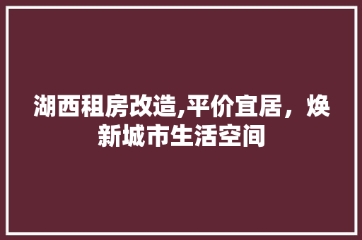 湖西租房改造,平价宜居，焕新城市生活空间