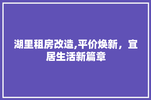 湖里租房改造,平价焕新，宜居生活新篇章