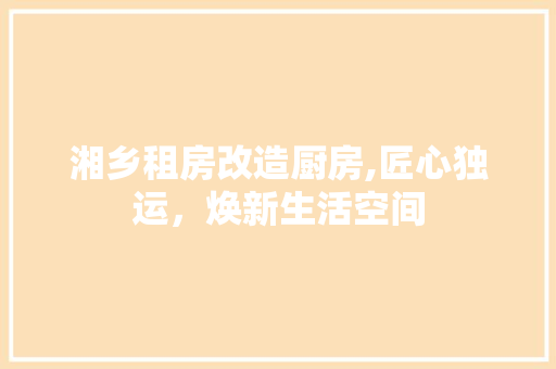 湘乡租房改造厨房,匠心独运，焕新生活空间