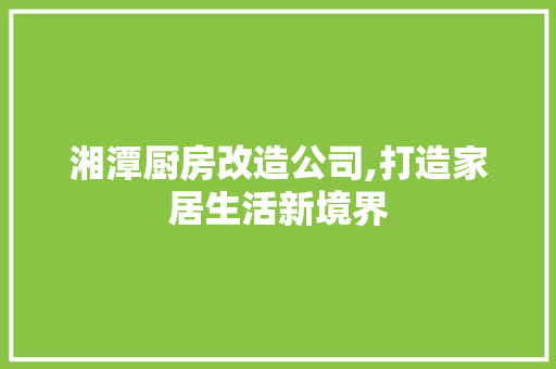 湘潭厨房改造公司,打造家居生活新境界